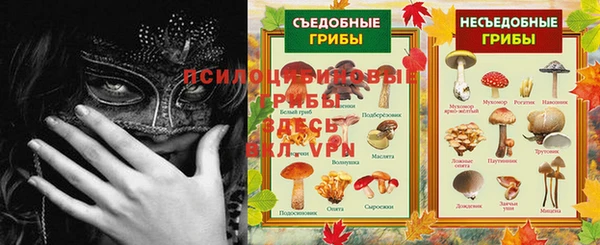ECSTASY Бронницы