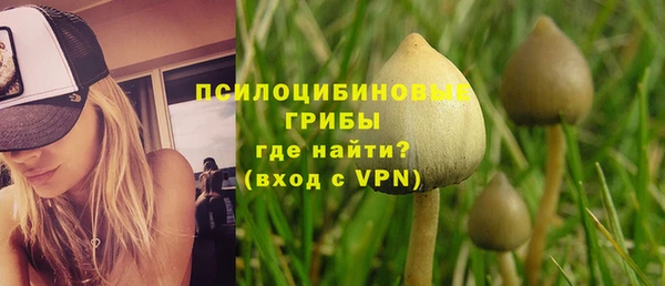 тгк Бугульма