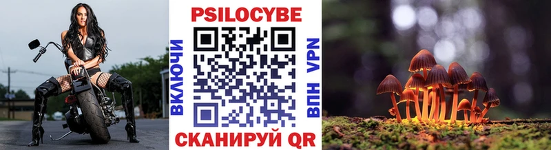 Псилоцибиновые грибы мицелий  Морозовск 